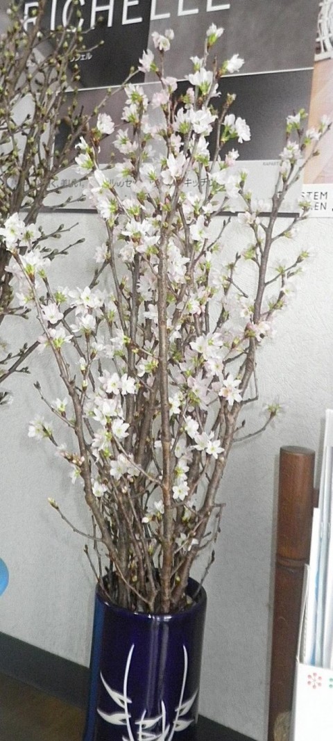 桜花瓶